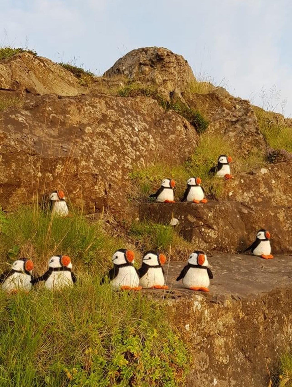 Icelandic Felted Wool Puffin Handmade