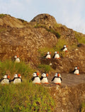Icelandic Felted Wool Puffin Handmade